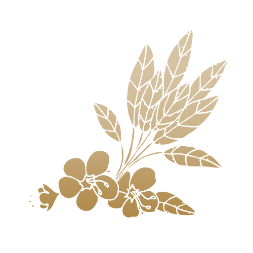 黎明谷艺术-全球好画